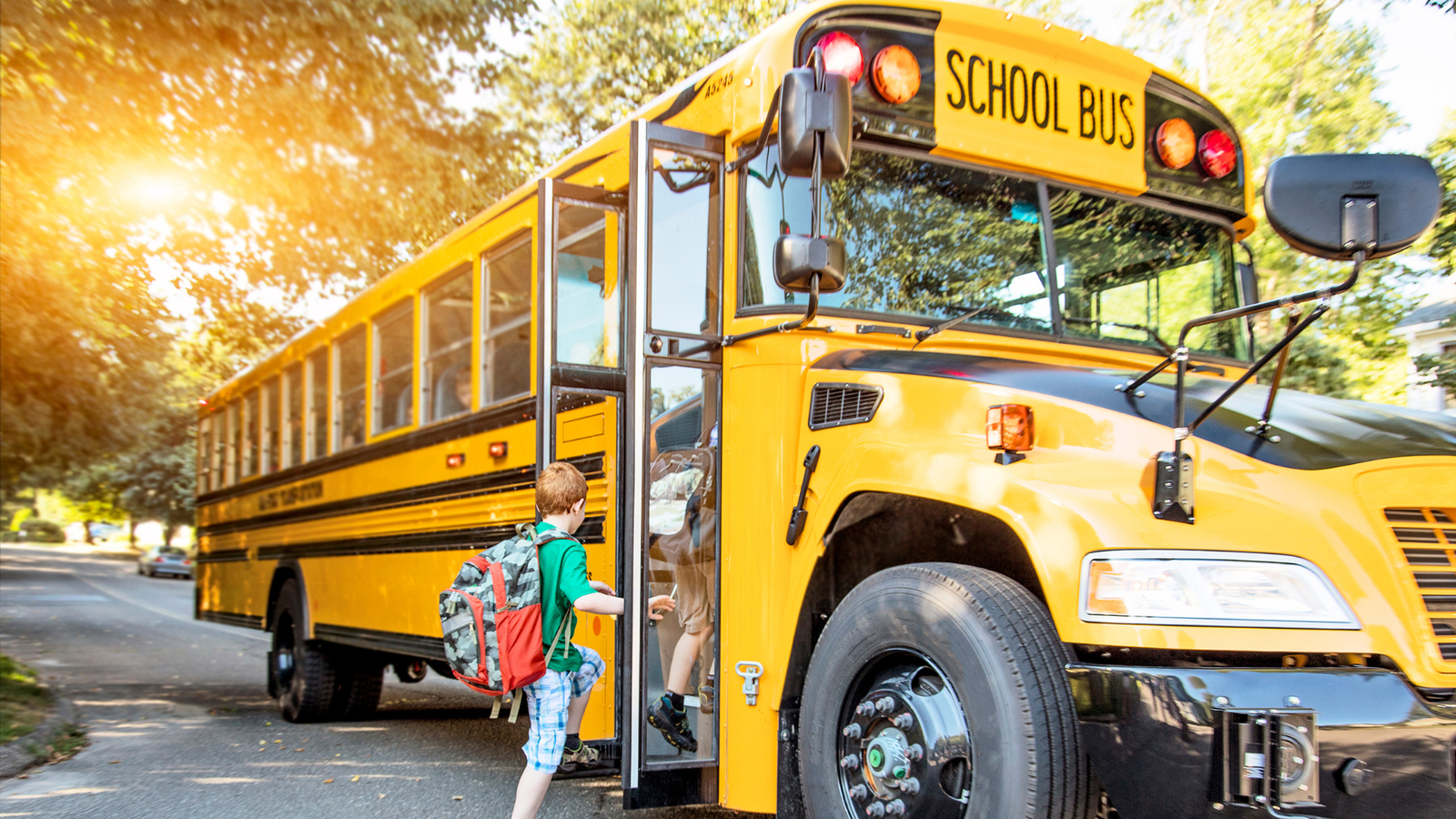 School Transportation Management Software