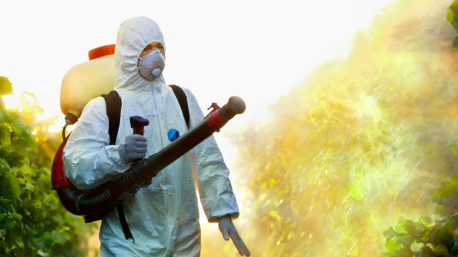 Pest Control