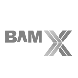 BamX